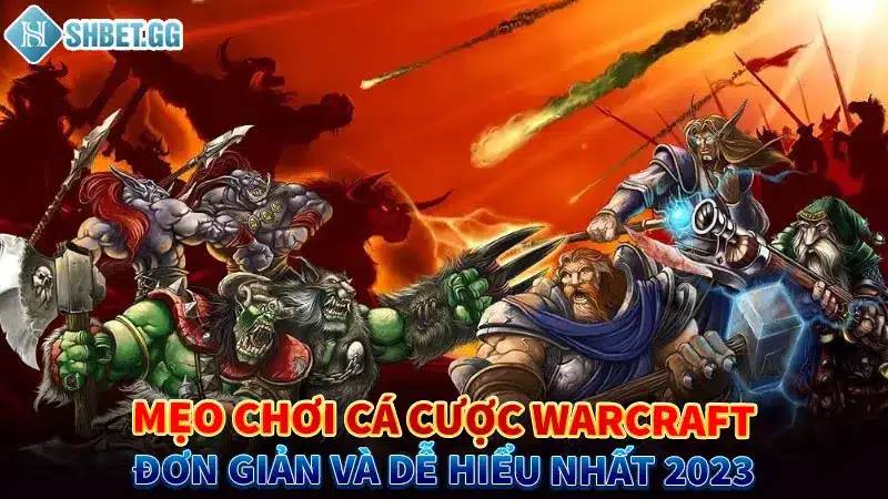 Mẹo chơi cá cược Warcraft đơn giản và dễ hiểu nhất 2023