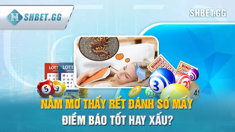 Nằm mơ thấy rết đánh số mấy - Điềm báo tốt hay xấu?