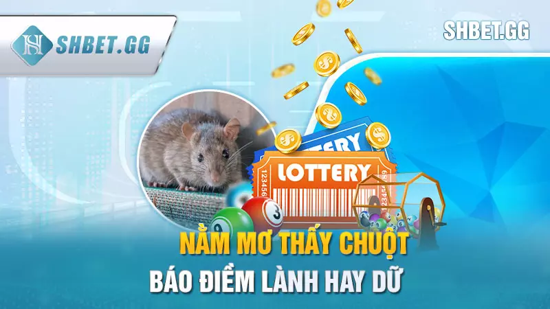 Nằm mơ thấy chuột báo điềm lành hay dữ