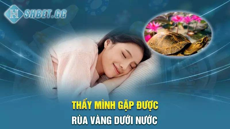 Thấy mình gặp được rùa vàng dưới nước