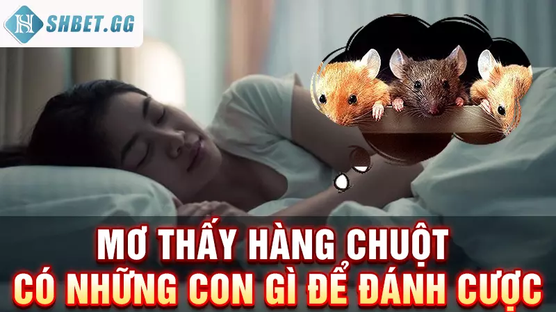 Mơ thấy hàng chuột có những con gì để đánh cược