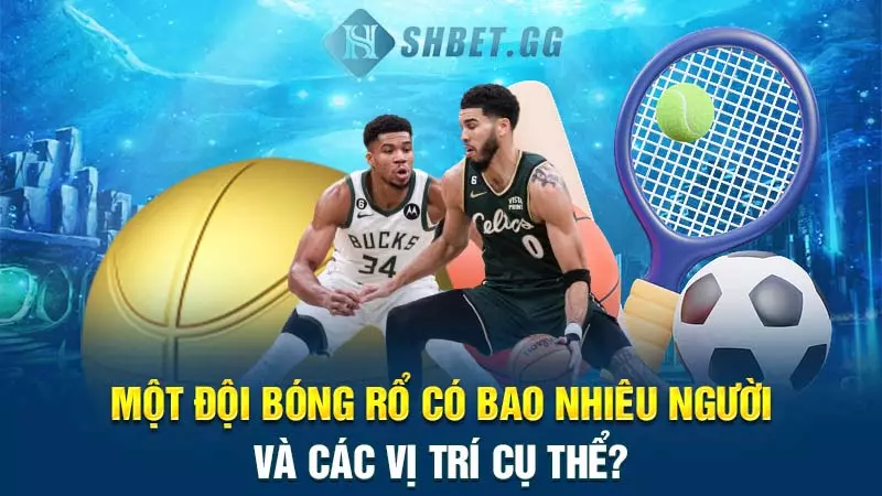 Một đội bóng rổ có bao nhiêu người và các vị trí cụ thể?