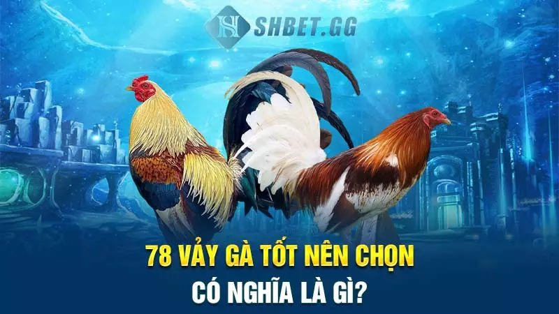 78 vảy gà tốt nên chọn có nghĩa là gì?